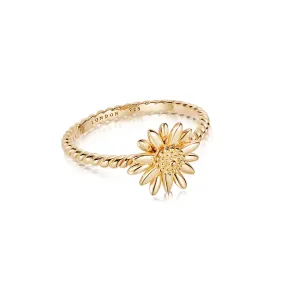 English Daisy Rope Ring 18ct Gold Plate